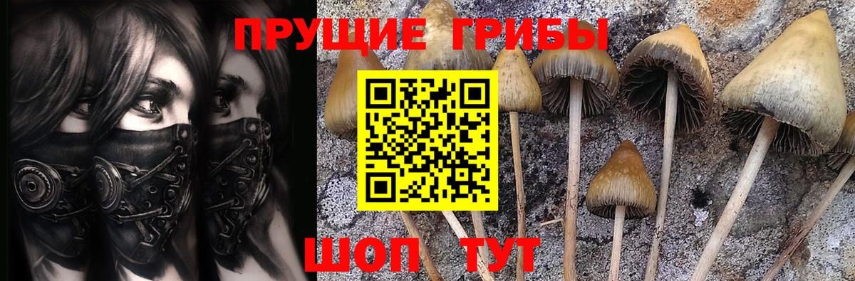 Псилоцибиновые грибы мицелий Нижневартовск