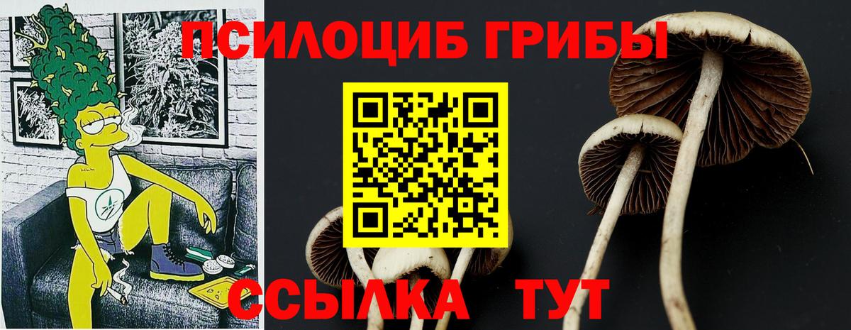Галлюциногенные грибы мицелий  Вход с VPN  Галлюциногенные грибы прущие грибы  Нижневартовск 